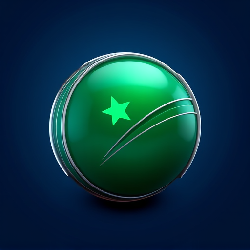 9bd logo
